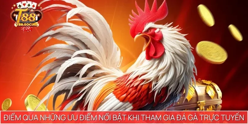 Điểm qua những ưu điểm nổi bật khi tham gia đá gà trực tuyến