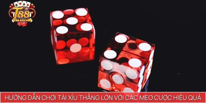 Hướng dẫn chơi tài xỉu thắng lớn với các mẹo cược hiệu quả